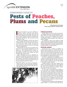 Pests_of_Peaches__Plums_a000001