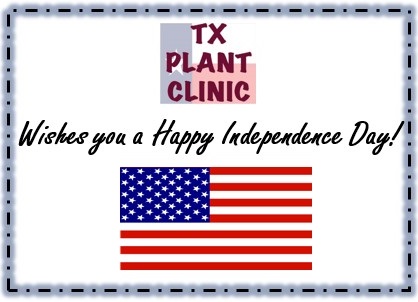 TX Plant Clinic wishes you a Happy Independence Day