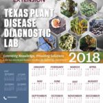 CLICK HERE to return to 2018 TPDDL Calendar page 