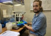 Michael Giedraitis testing Oak Wilt samples in the lab