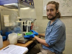 Michael Giedraitis testing Oak Wilt samples in the lab